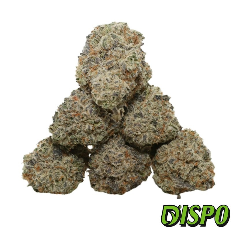 Free Reign - Blue Zushi - Buds