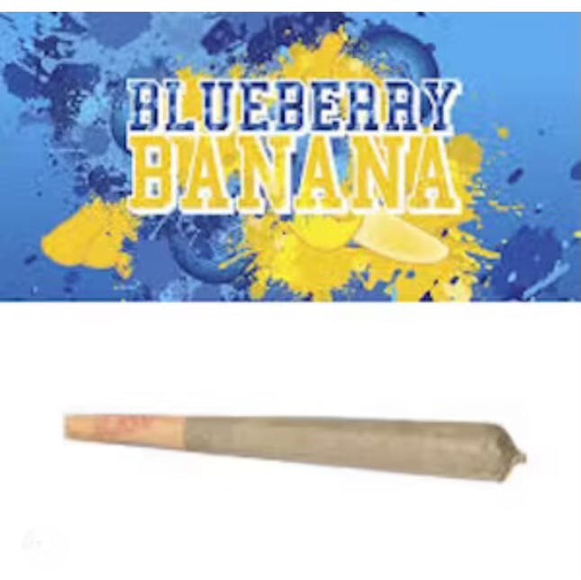 Photo of CK Blueberry Banana PR 1g (2pk)