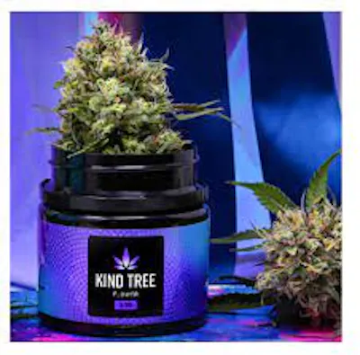 Shop Clade9 | Flower | J1 | 7g In New Jersey | HASHERY