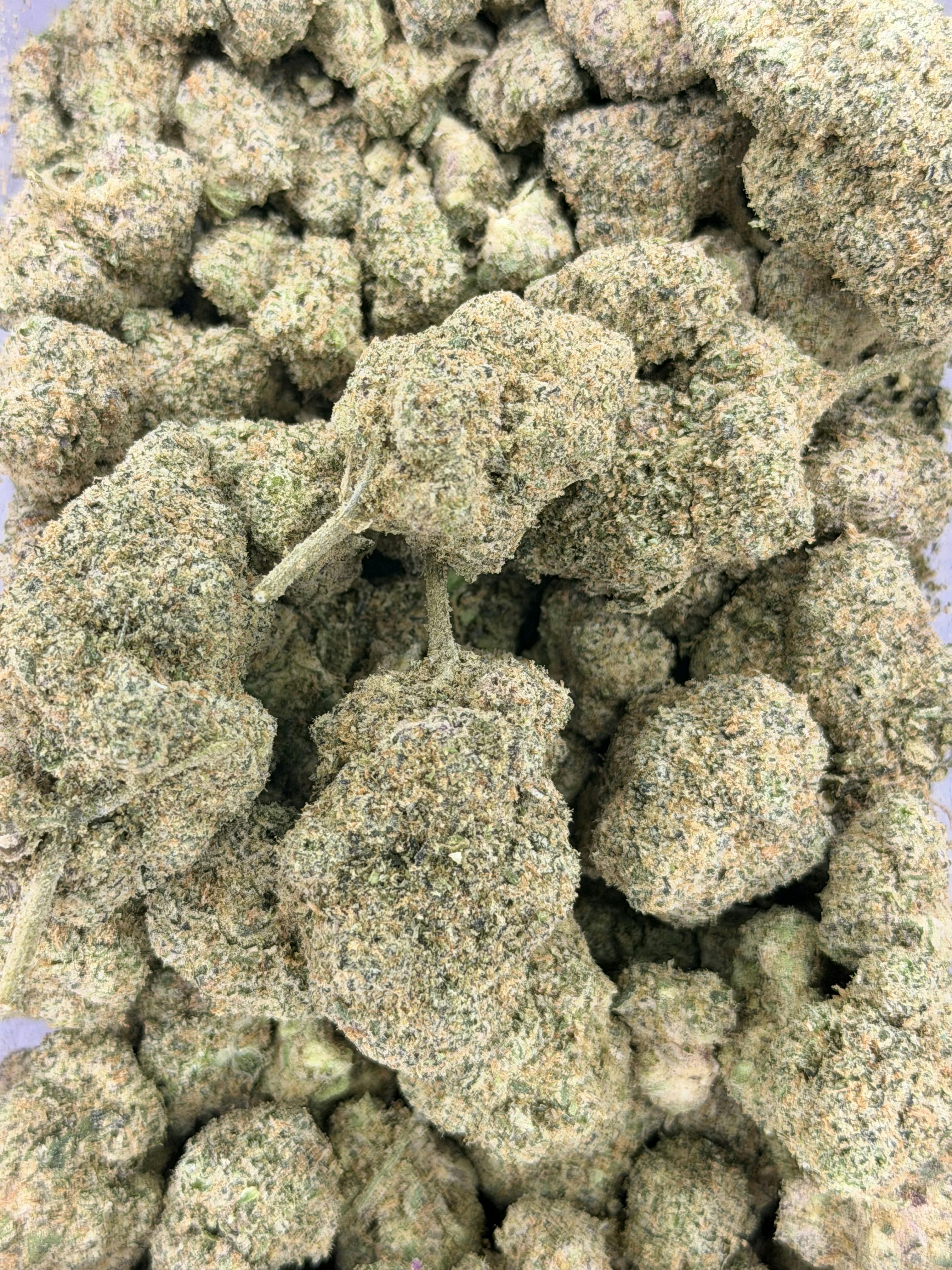 Bubble Bath | Deli Flower (Gold)