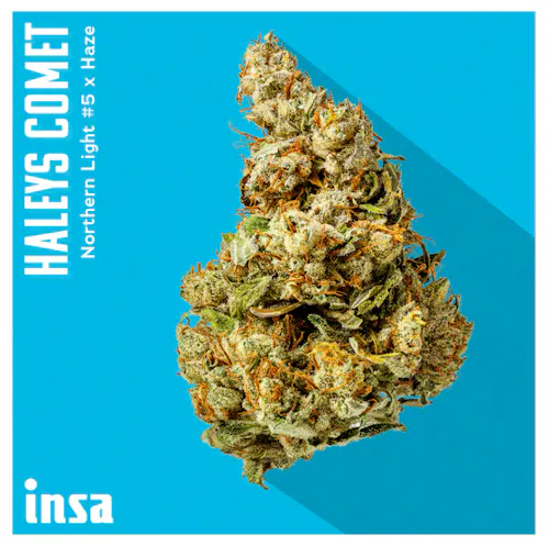 INSA Haleys Comet 3.5g-active