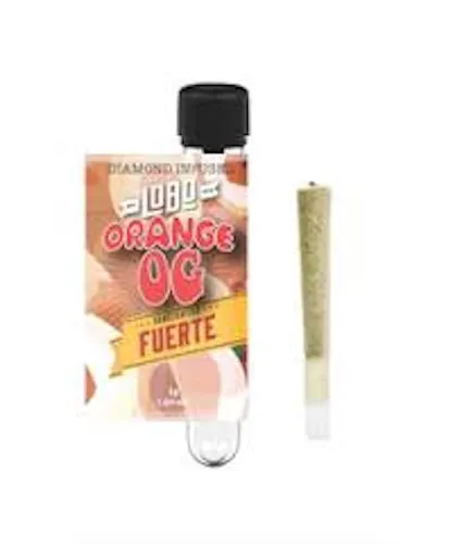 Orange OG  ‘Fuerte’ – Infused – Single-active