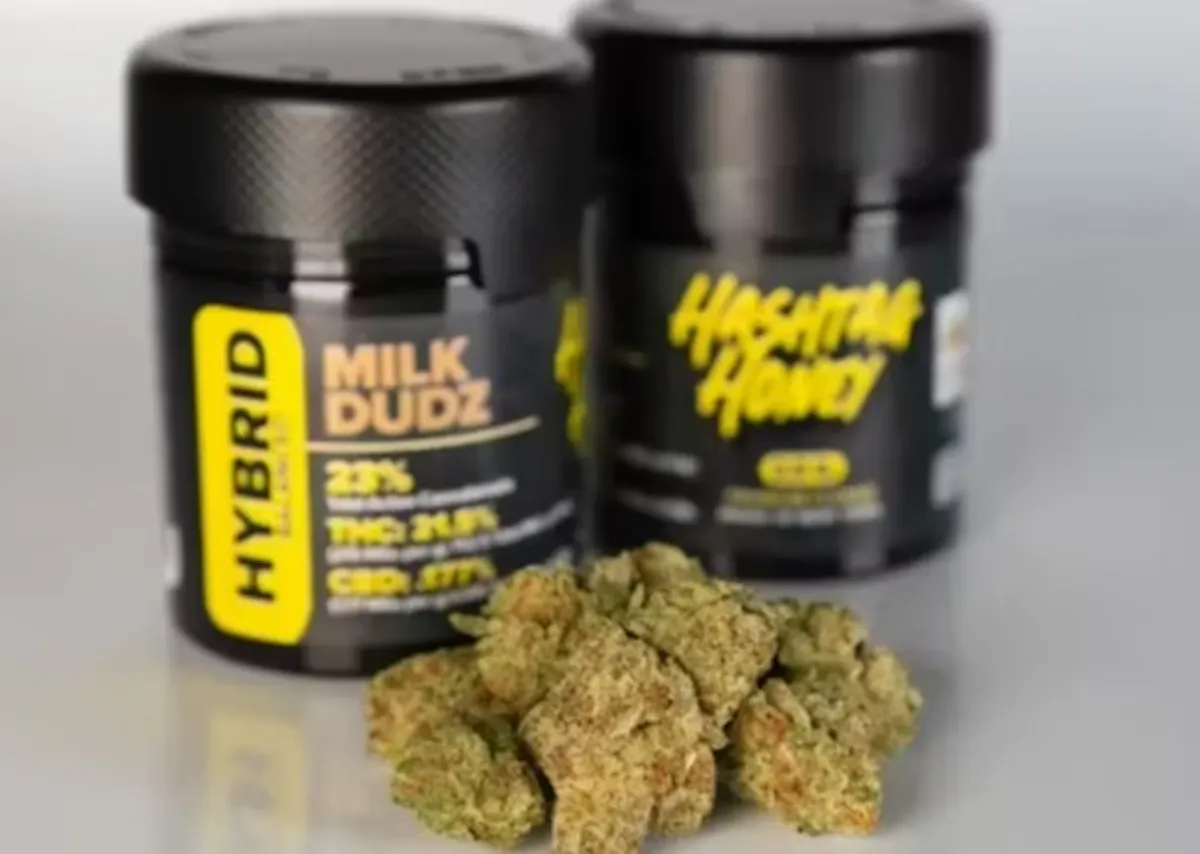 Hashtag Honey – Milk Dudz 1/8oz Flower | Hashtag Honey |