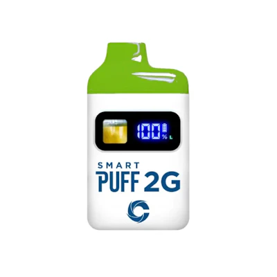 Cannalicious - 2g Disposable - NYC Diesel - DISPOSABLES by Cannalicious Labs at King of Budz