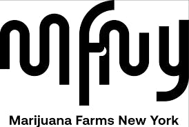 MFNY Skunk x MFNY Skunk Live Resin | Infused Pre-Roll-1