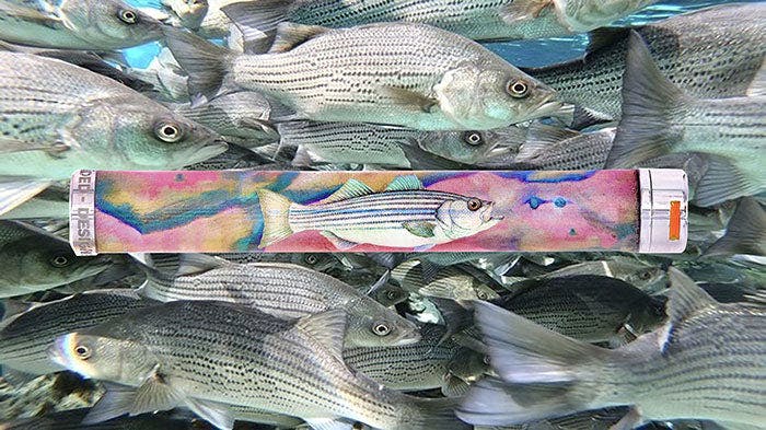 Freeminded | Rip Tide Single Joint Tube | Striped Bass