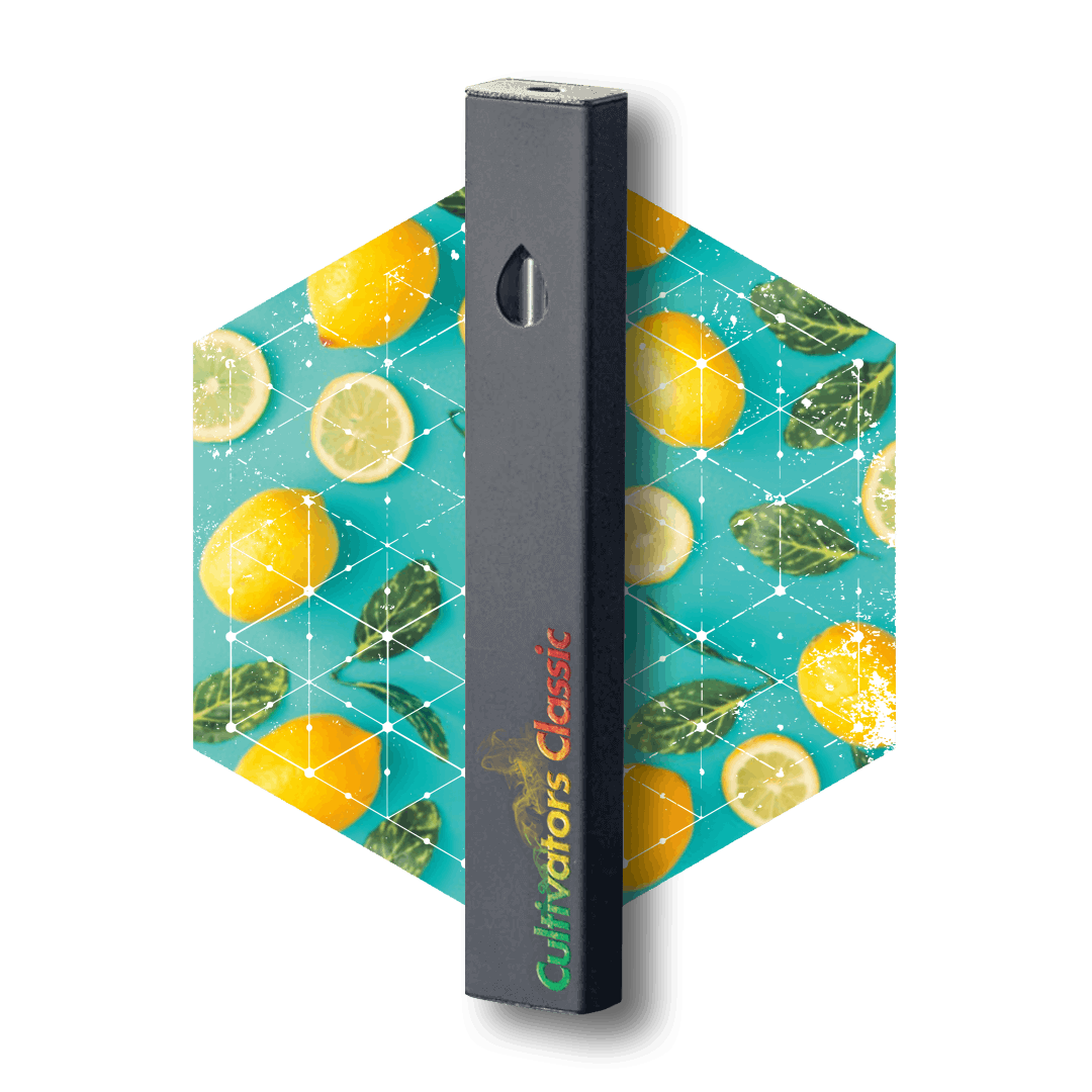 Lemon Slushie (H) - (AIO)