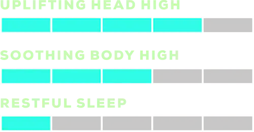 Baja Blaze Mega Pearl | Rosin Gummies | 100mg-1