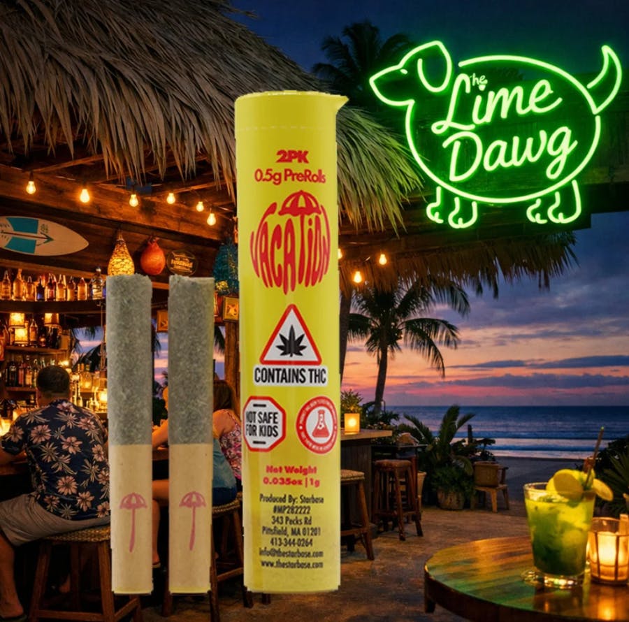 Vacation | Lime Dawg | Preroll - /2pk