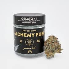 Alchemy Pure | Gelato 41 | 3.5G Flower Jar