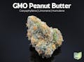 Farkas Farms: GMO Peanut Butter - 2.83g
