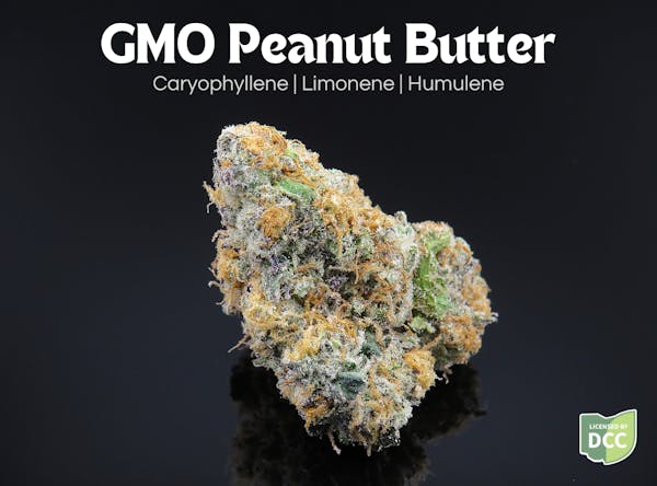 Lemon Cherry Gelato x Cap Junky | 2.83g 2.83g Flower | The