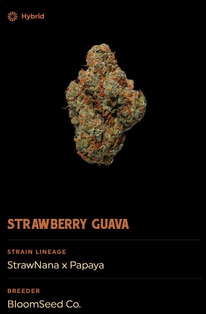 Strawberry Guava Flower 3.5g