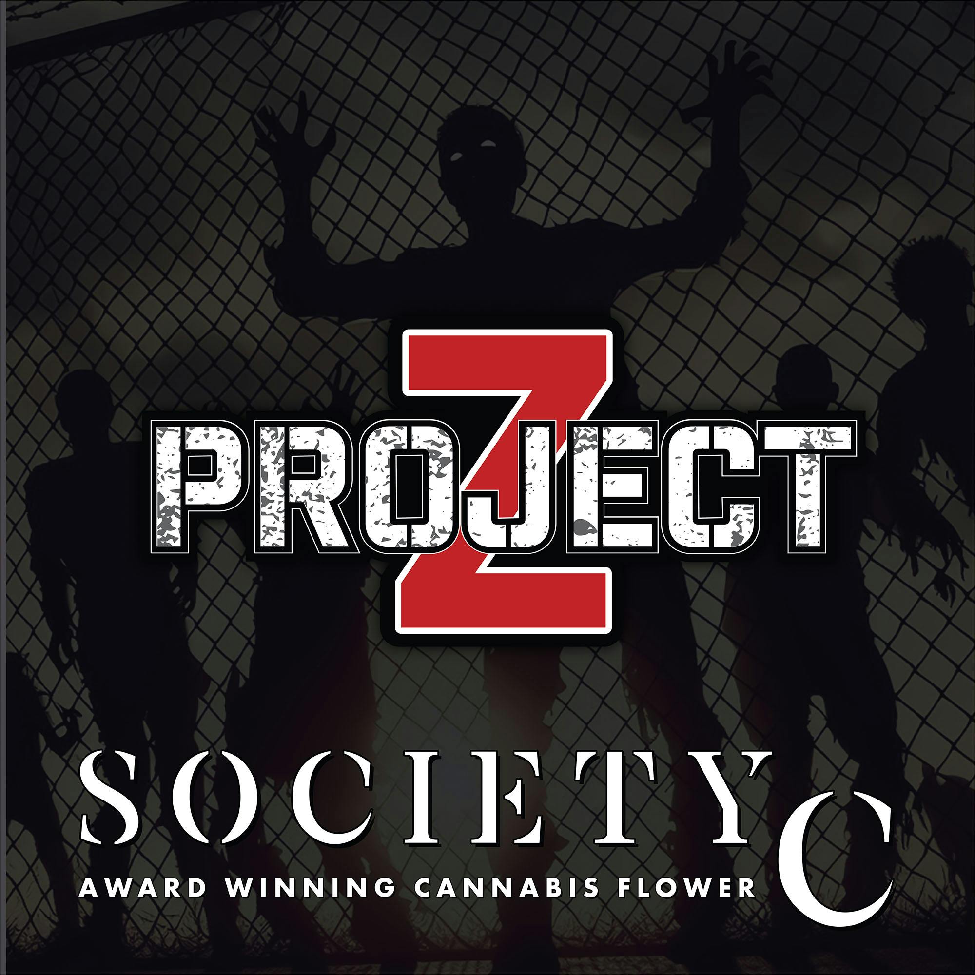 DELI - Society C - Project Z