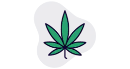 Flower category image