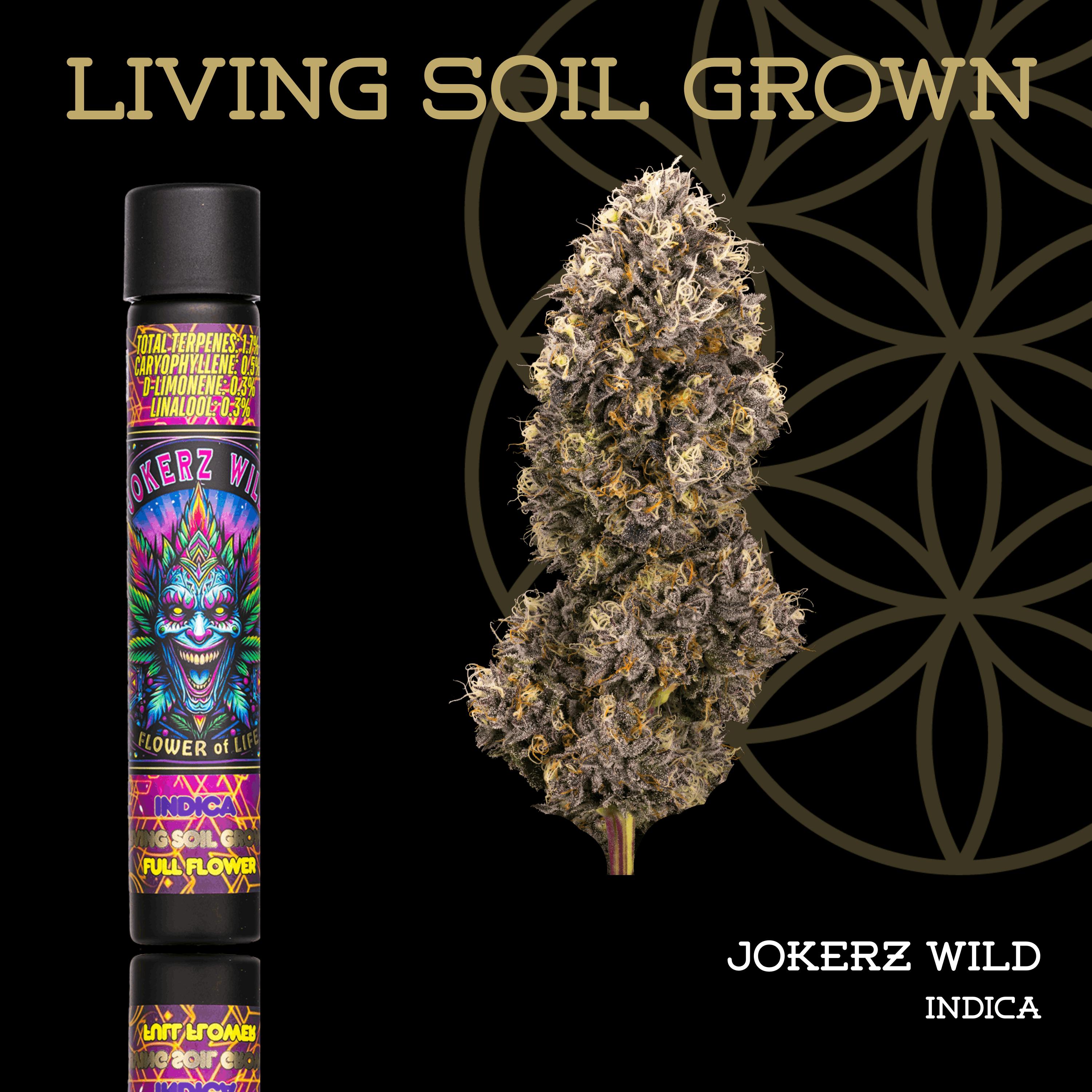 Product: Flower of Life | Living Soil | Jokerz Wild | Pre-Roll | 1g