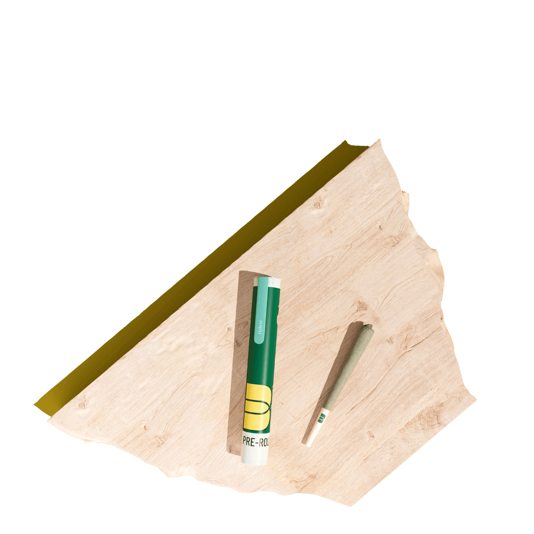 Orange Slice Nebula | Single