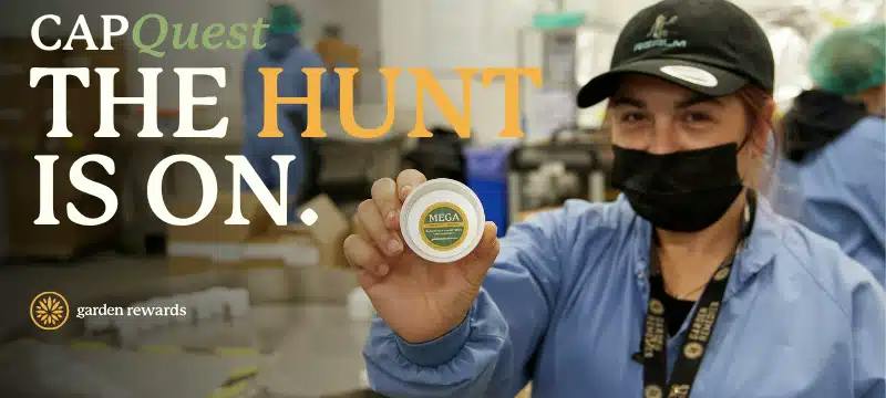 Cap Quest - The Hunt is On