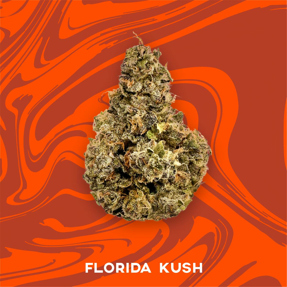 vivid-florida-kush-flower-3-5g-for-sale-online-sunny-daze-cannabis