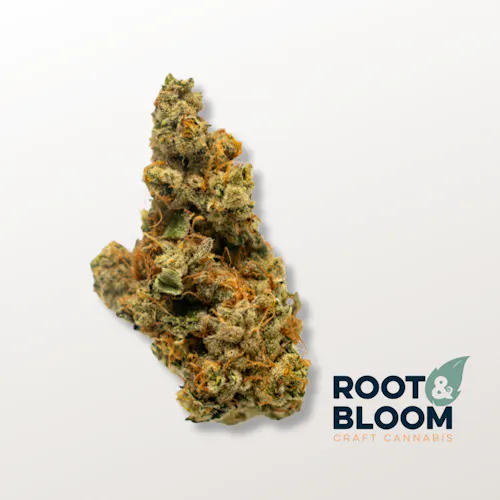 Lemonhead Delight | Whole Flower-active