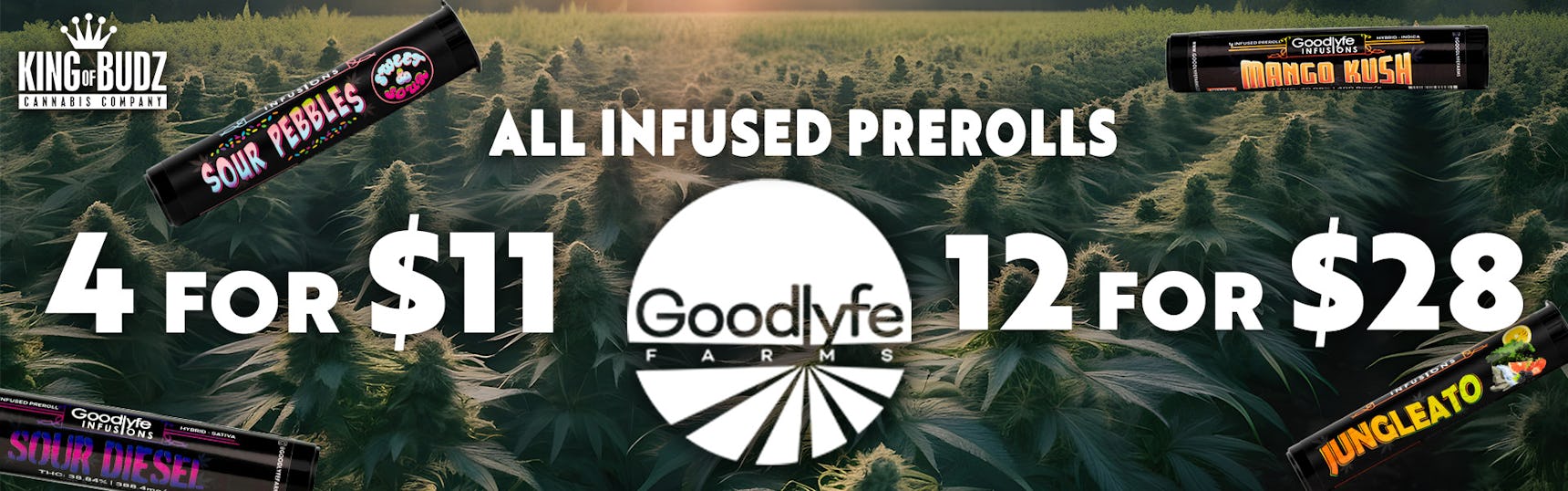 Goodlyfe Infused 1g Pre Roll - 4 for $11