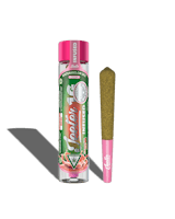 Product Watermelon ZKZ | Infused 1g