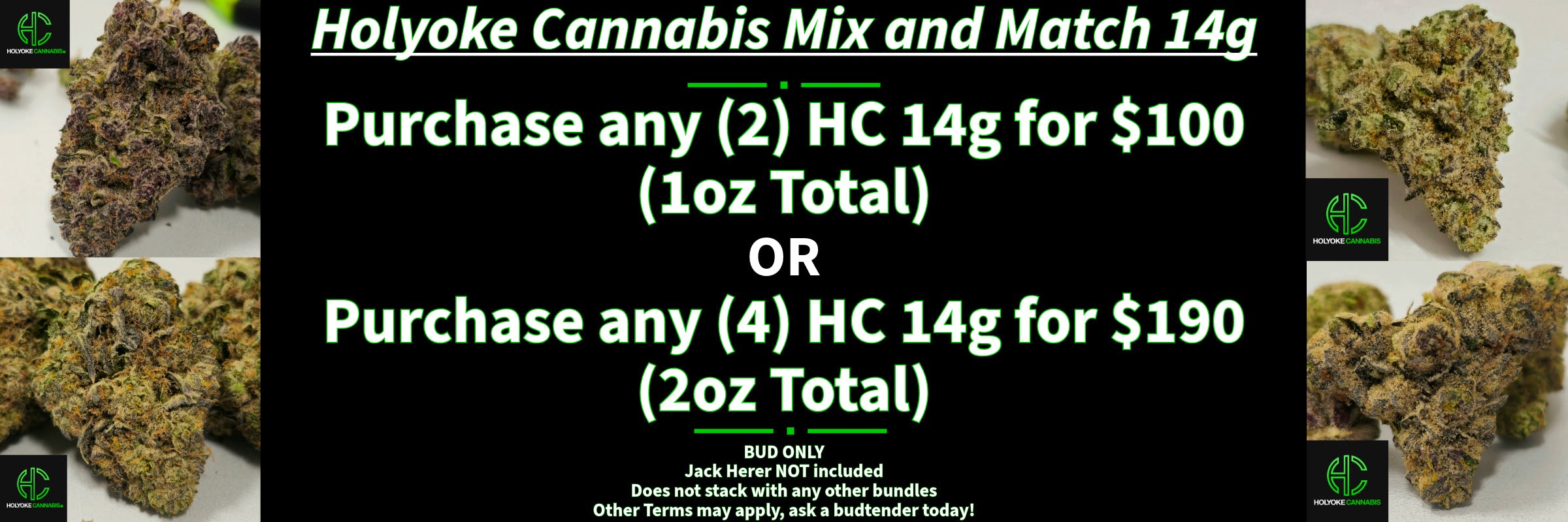 Holyoke Cannabis Exclusive