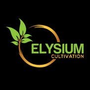 Elysium Cultivation ELYSIUM | BUBBLY BOOF | BULK | HYBRID — FLOWER