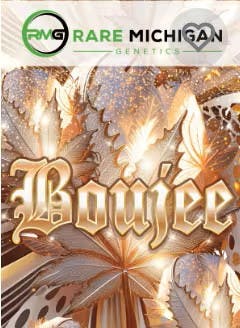 Product: RARE MICHIGAN GENETICS | BOUJEE | PREPACK HYBRID