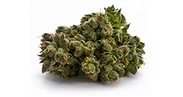 Flower category image