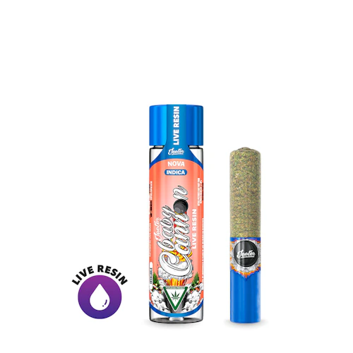 Nova Baby Cannon Live Resin Pre-Roll | 1.3g