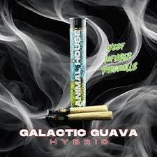 Animal House | Galactic Guava | 2pk 0.75G Kief Infused Pre-Roll