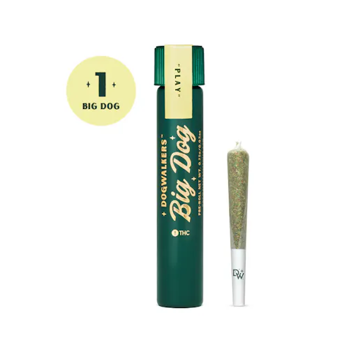 Sour Diesel Big Dog Pre-Roll | 0.75g-1