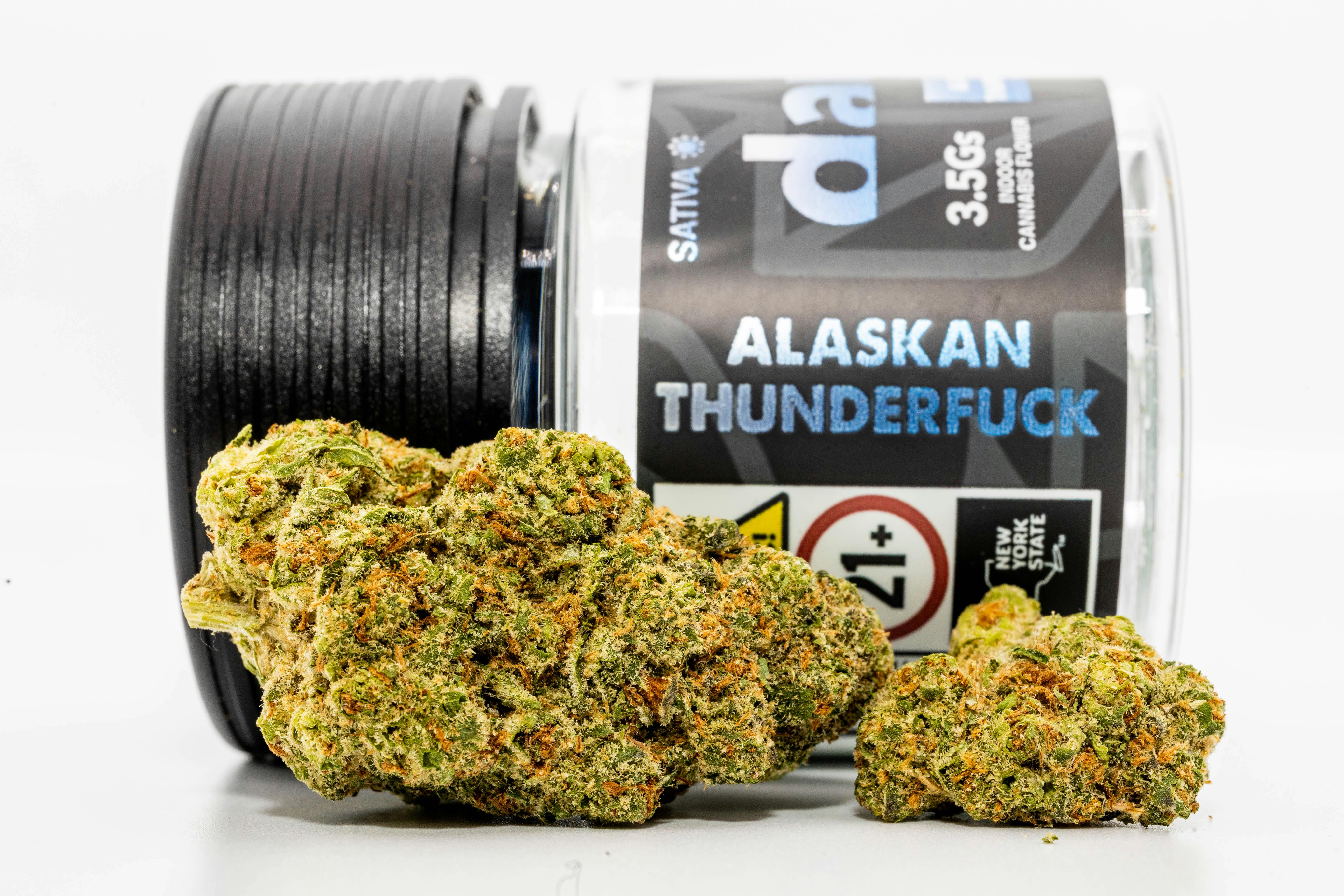 Dank | Flower JAR | Alaskan Thunderfuck | 3.5