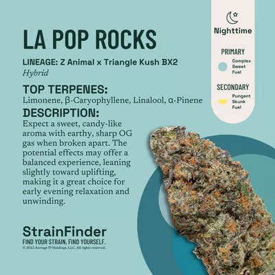 Product LA Pop Rockz (H) | Flower