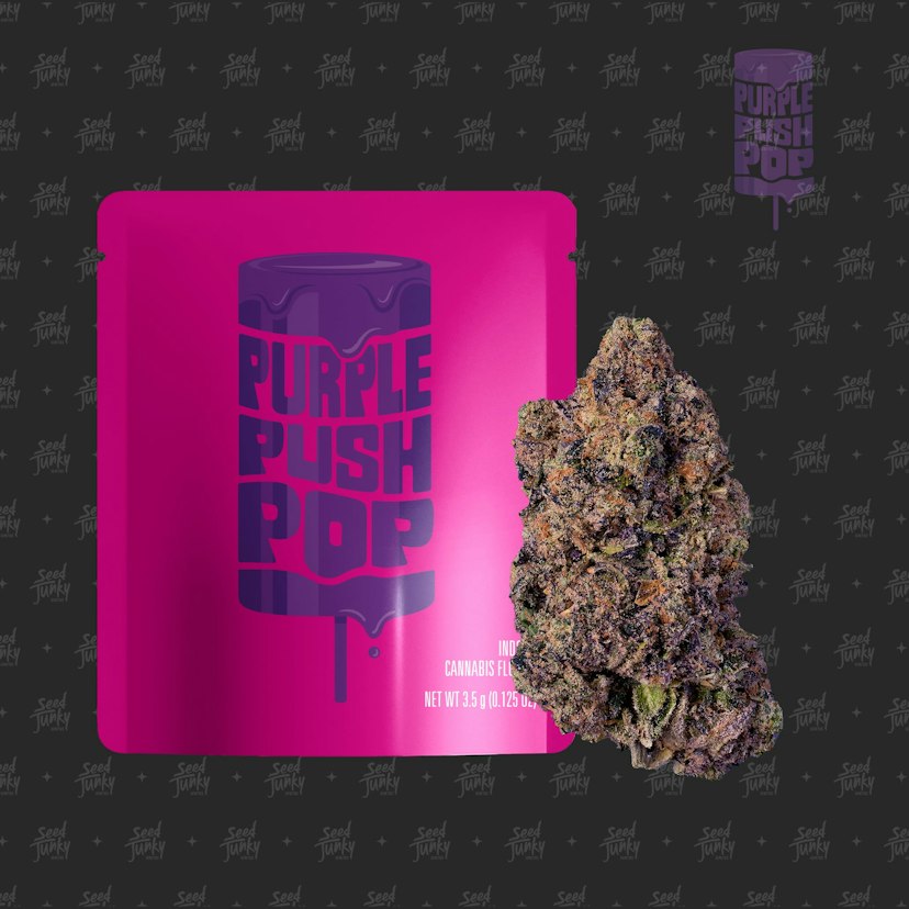 Seed Junky Prepackaged Flower | Purple Push Pop