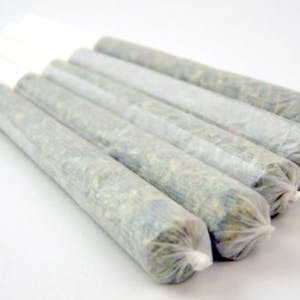 Gorilla Glue #4 .5 g Pre-Roll
