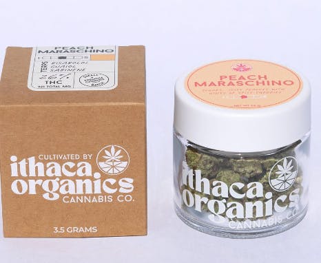 peach maraschino Hybrid | Ithaca organics