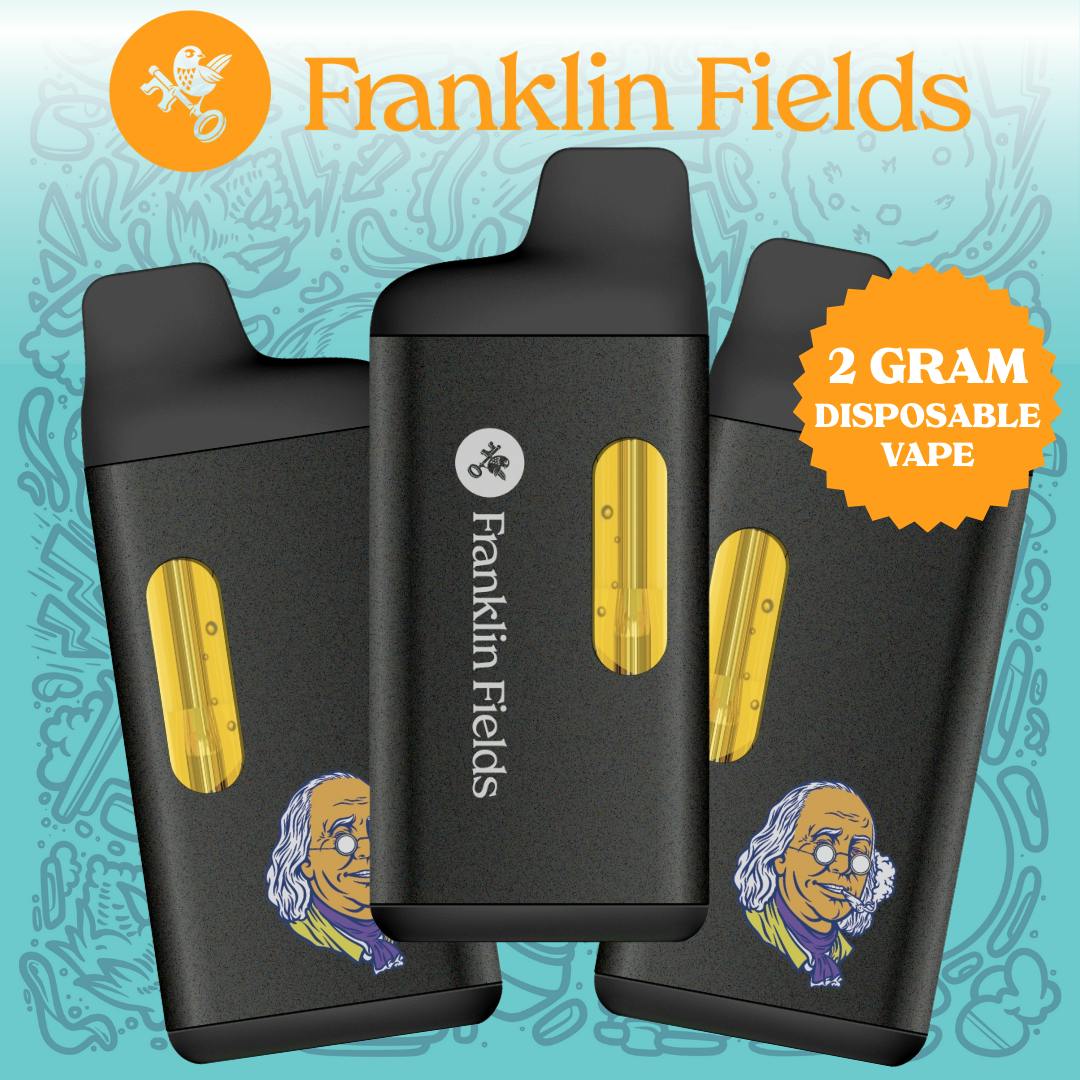 how much is elf bar vape FRANKLIN FIELDS | 2G DISPOSABLE | CHERRY PUNCH | The Botanical Co. -  Lansing