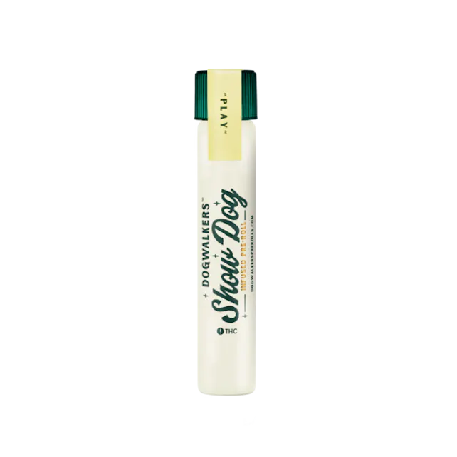 Dogwalkers Infused Big Dog Pre-Roll Tangerine Haze 1g (sativa)