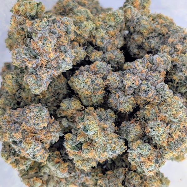 Gary Payton (H) - Deli Style - Trifecta Farms