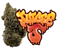 Product Juicee J | Flower | 3.5g