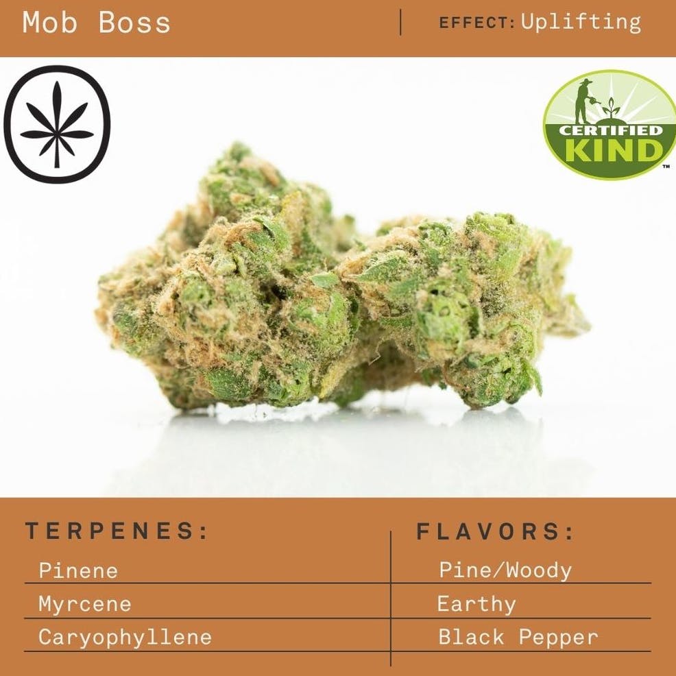 Product: Apothecare | Pre-Pack - - Mob Boss