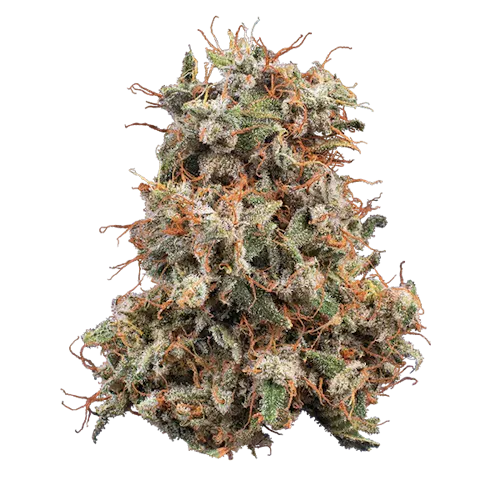 Woodward | Banana Mac (Buds) 5.66g | Sativa-active