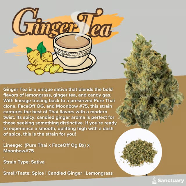 Sanctuary - Pre-Ground 14g - Ginger Tea