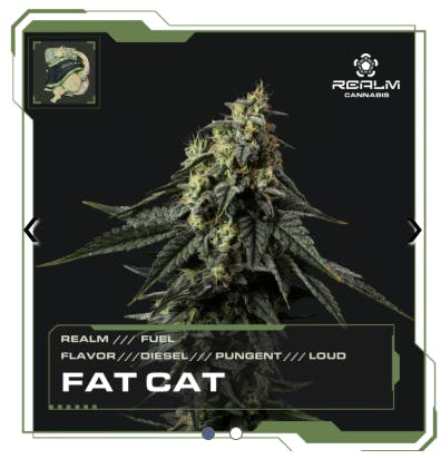 Product: Fat Cat