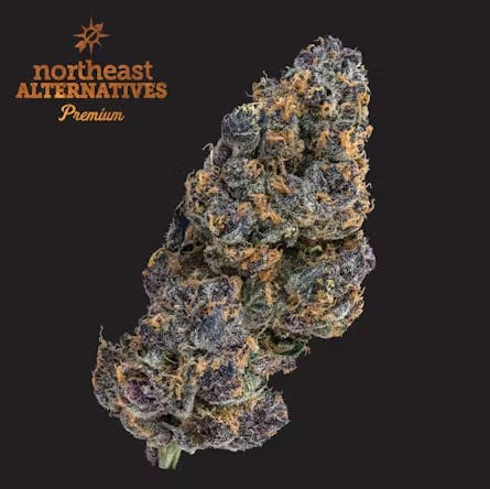 Product NEA Premium | Tropsanto #5 | Flower