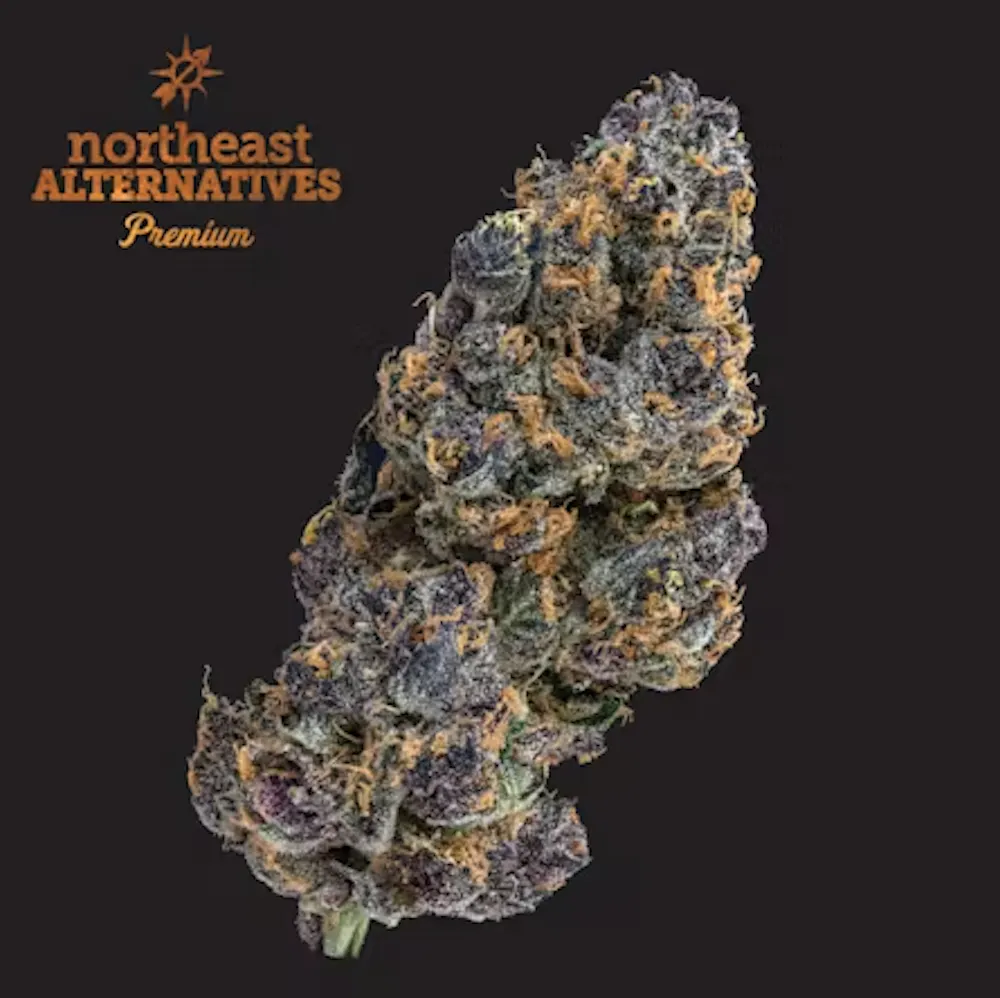 Product NEA Premium | Tropsanto #5 | Flower