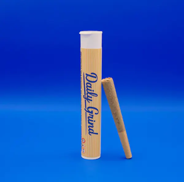 Sherb Cream Pie (IH) | 1g | Pre Roll | Daily Grind