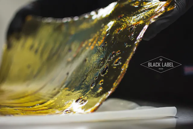 Black Label Shatter Super Mintz 1g (hybrid)